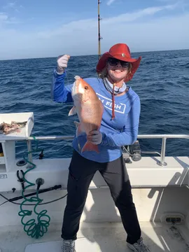 Red Snapper