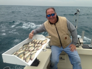 Perch Fishing 2013 Confusion Charters