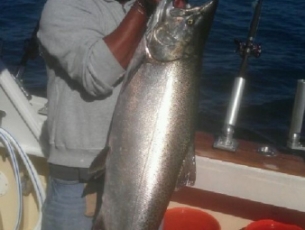 2013 King Salmon Pic